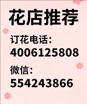 泸水花店哪家好
