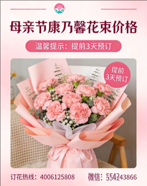 泸水花店母亲节康乃馨花束