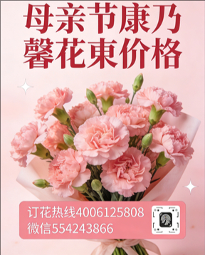 泸水花店母亲节康乃馨花束